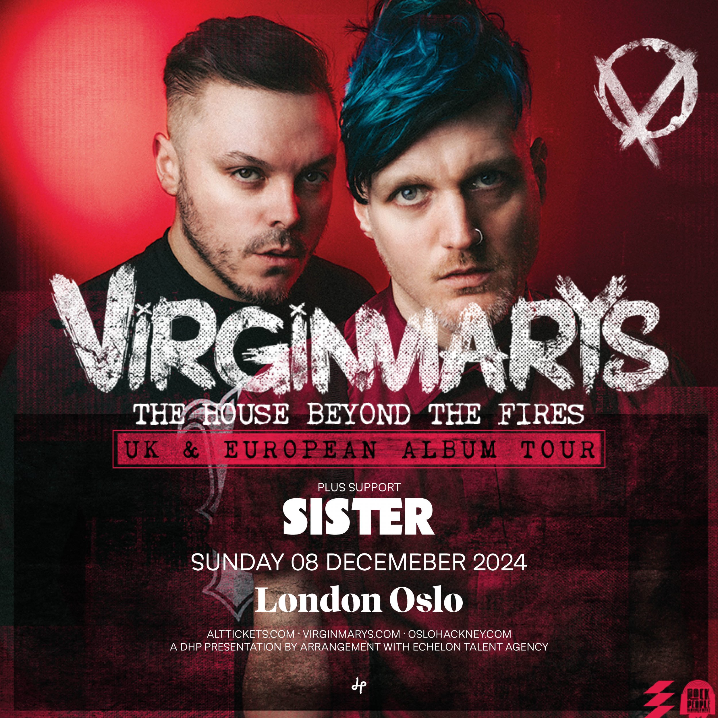 THE VIRGINMARYS POSTER